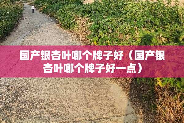 国产银杏叶哪个牌子好（国产银杏叶哪个牌子好一点）