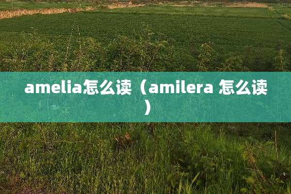 amelia怎么读（amilera 怎么读）