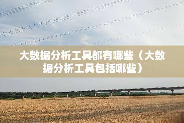 大数据分析工具都有哪些（大数据分析工具包括哪些）