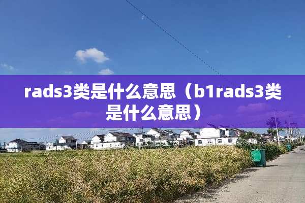 rads3类是什么意思（b1rads3类是什么意思）