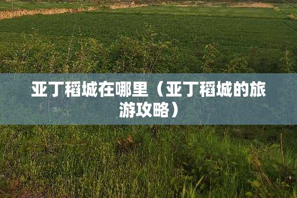 亚丁稻城在哪里（亚丁稻城的旅游攻略）