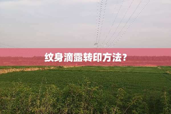 纹身滴露转印方法？