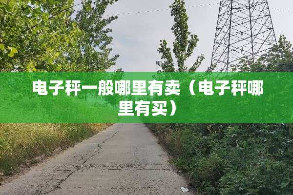 电子秤一般哪里有卖（电子秤哪里有买）
