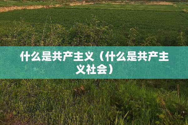 什么是****（什么是****社会）