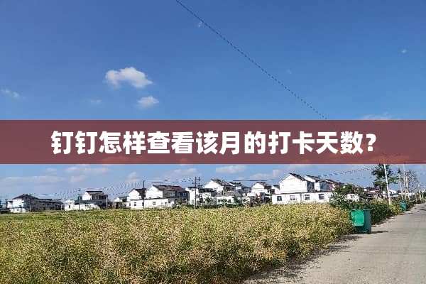 钉钉怎样查看该月的打卡天数？