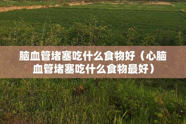 脑血管堵塞吃什么食物好（心脑血管堵塞吃什么食物最好）