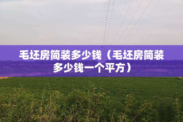 毛坯房简装多少钱（毛坯房简装多少钱一个平方）
