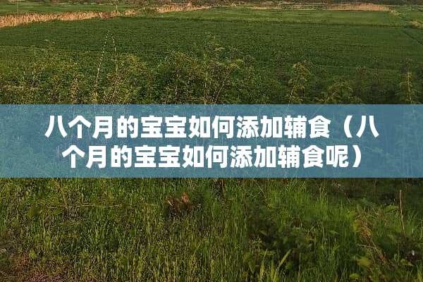 八个月的宝宝如何添加辅食（八个月的宝宝如何添加辅食呢）
