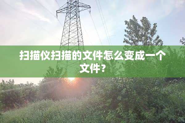 扫描仪扫描的文件怎么变成一个文件？
