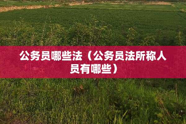 公务员哪些法（公务员法所称人员有哪些）