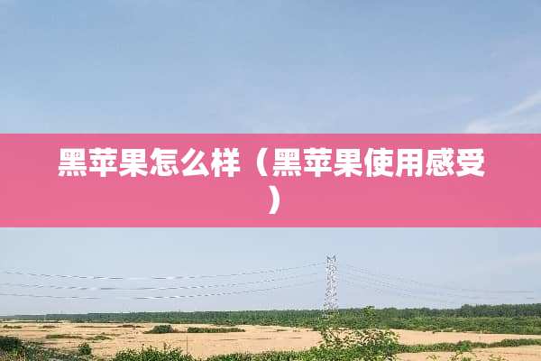 黑苹果怎么样（黑苹果使用感受）