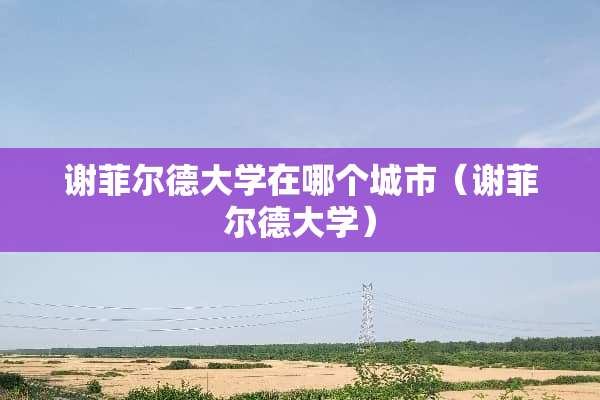 谢菲尔德大学在哪个城市（谢菲尔德大学）