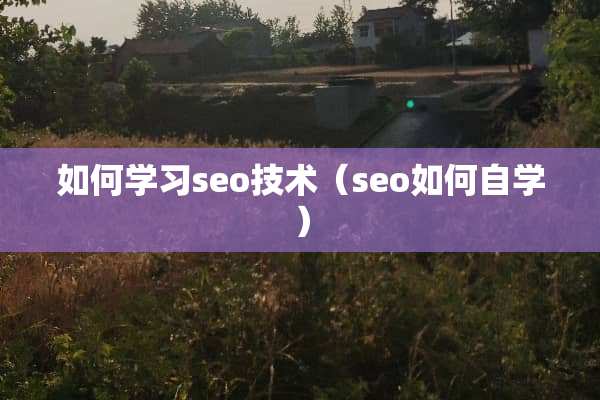 如何学习seo技术（seo如何自学）