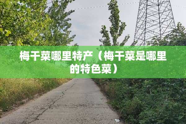 梅干菜哪里特产（梅干菜是哪里的特色菜）