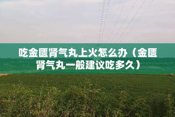 吃金匮肾气丸上火怎么办（金匮肾气丸一般建议吃多久）