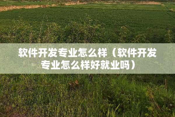 软件开发专业怎么样（软件开发专业怎么样好就业吗）