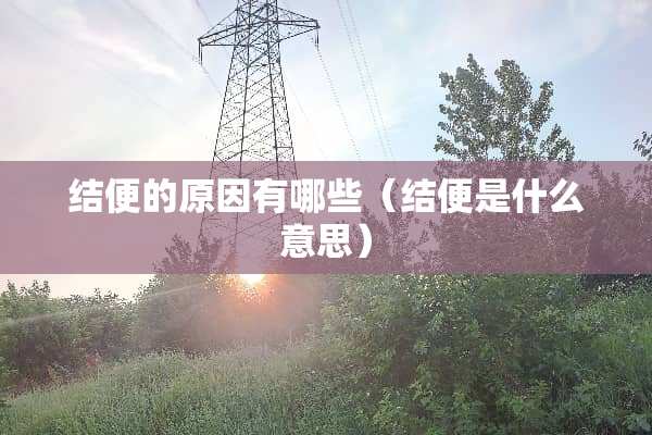结便的原因有哪些（结便是什么意思）