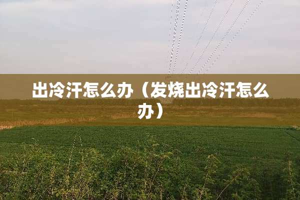 出冷汗怎么办（发烧出冷汗怎么办）