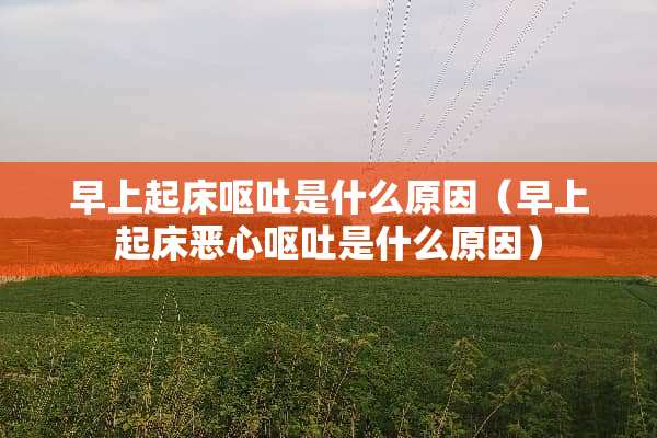 早上起床呕吐是什么原因（早上起床恶心呕吐是什么原因）