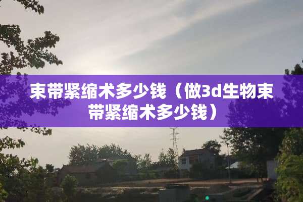 束带紧缩术多少钱（做3d生物束带紧缩术多少钱）