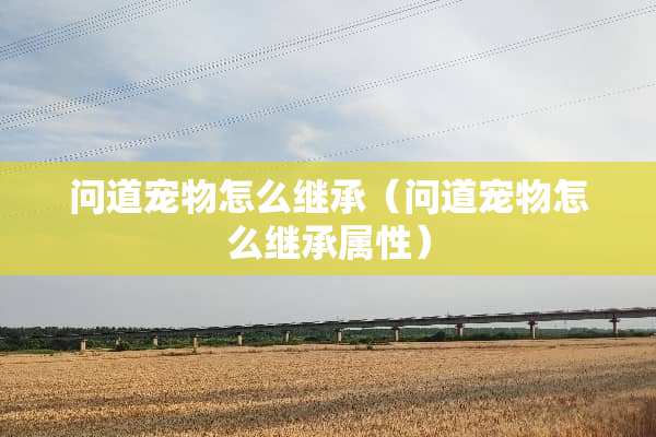 问道宠物怎么继承（问道宠物怎么继承属性）