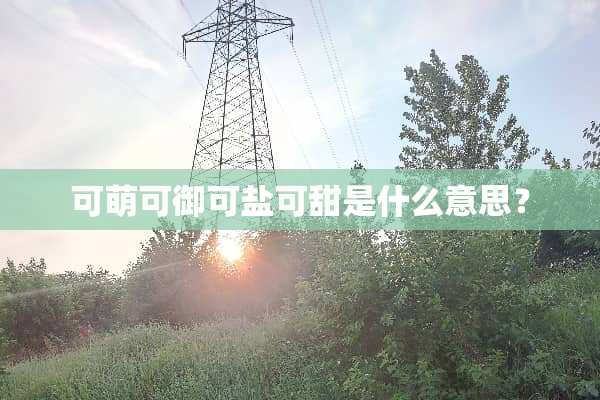 可萌可御可盐可甜是什么意思？