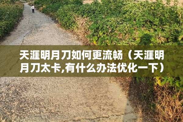 天涯明月刀如何更流畅（天涯明月刀太卡,有什么办法优化一下）