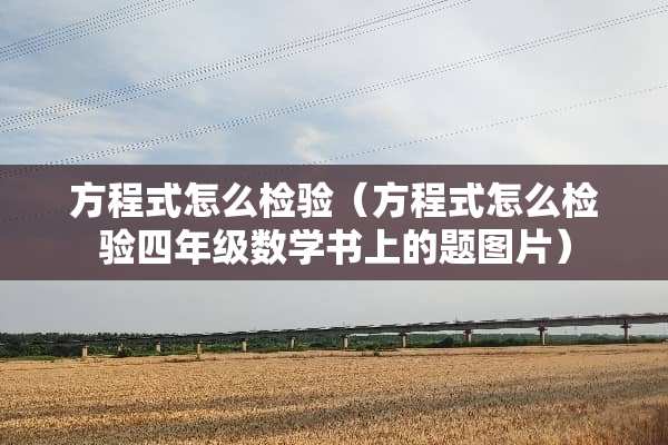 方程式怎么检验（方程式怎么检验四年级数学书上的题图片）