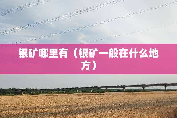 银矿哪里有（银矿一般在什么地方）