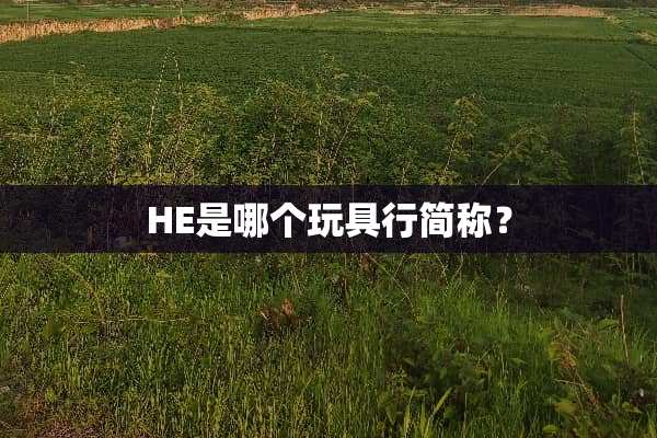 HE是哪个玩具行简称？