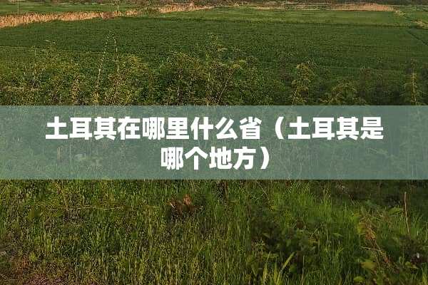 土耳其在哪里什么省（土耳其是哪个地方）