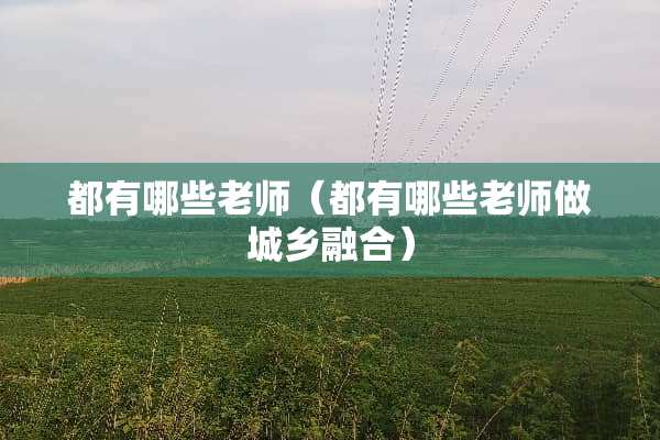 都有哪些老师（都有哪些老师做城乡融合）