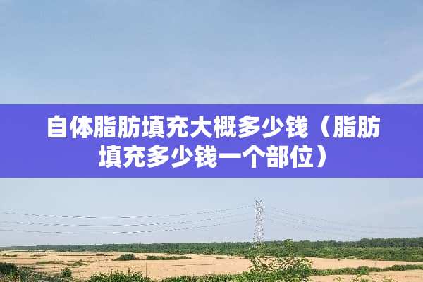 自体脂肪填充大概多少钱（脂肪填充多少钱一个部位）