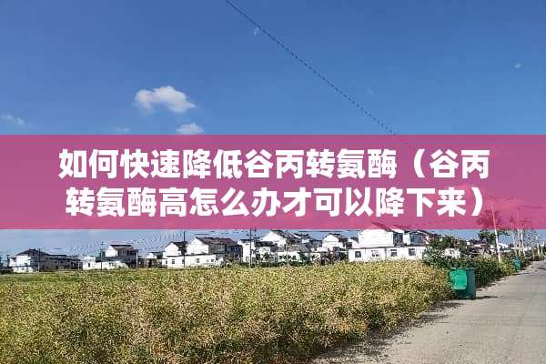 如何快速降低谷丙转氨酶（谷丙转氨酶高怎么办才可以降下来）