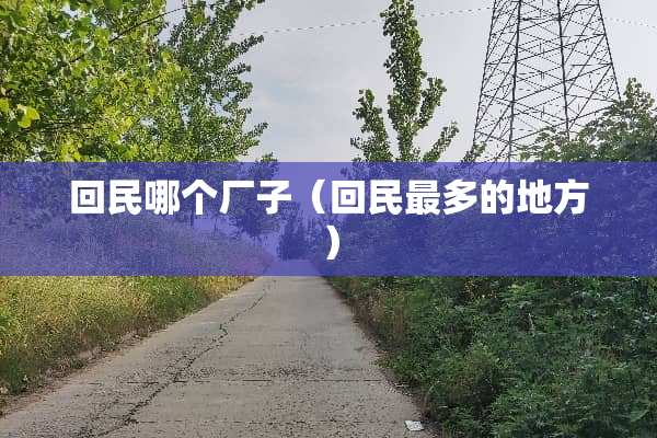 **哪个厂子（**最多的地方）