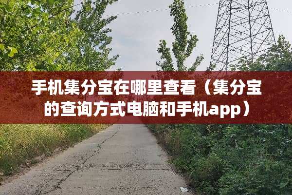 手机集分宝在哪里查看（集分宝的查询方式电脑和手机app）