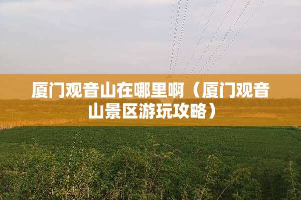 厦门观音山在哪里啊（厦门观音山景区游玩攻略）