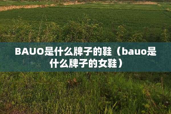 BAUO是什么牌子的鞋（bauo是什么牌子的女鞋）