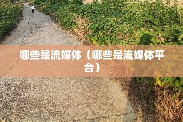 哪些是流媒体（哪些是流媒体平台）