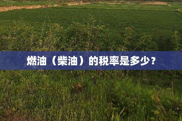 燃油（柴油）的税率是多少？