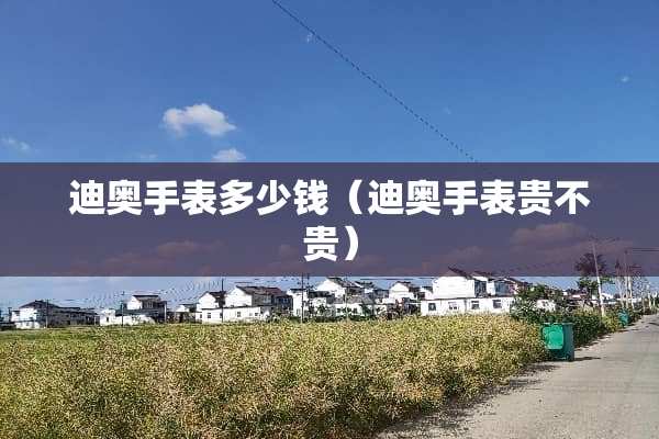 迪奥手表多少钱（迪奥手表贵不贵）