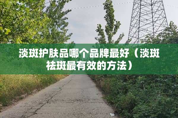 淡斑护肤品哪个品牌最好（淡斑祛斑最有效的方法）