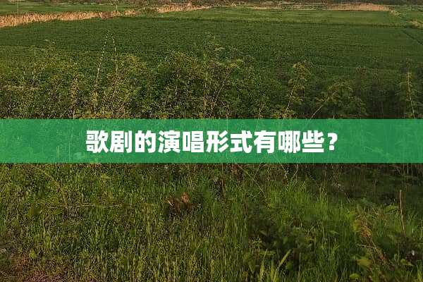 歌剧的演唱形式有哪些？