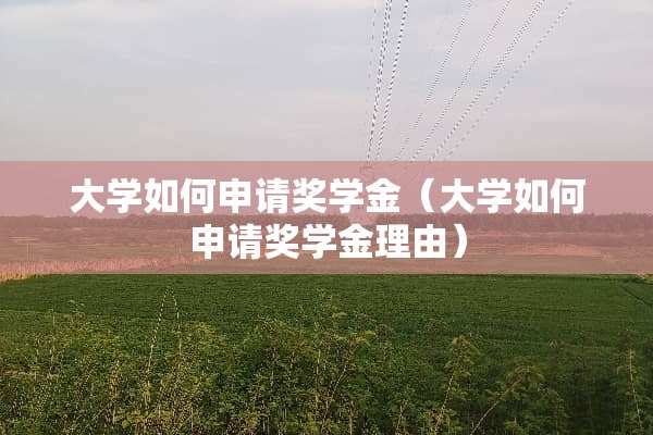 大学如何申请奖学金（大学如何申请奖学金理由）