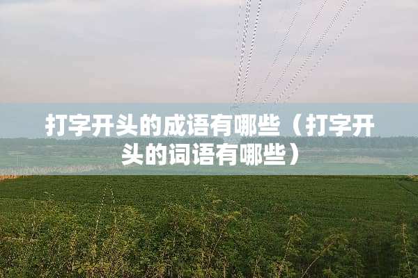 打字开头的成语有哪些（打字开头的词语有哪些）