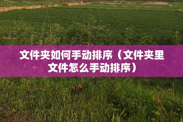 文件夹如何手动排序（文件夹里文件怎么手动排序）