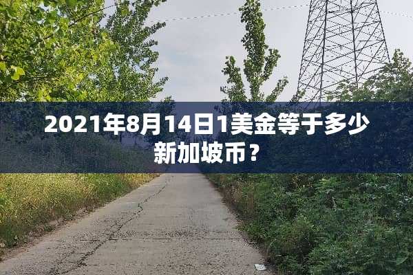 2021年8月14日1美金等于多少新加坡币？