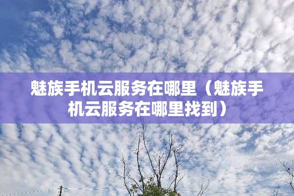 魅族手机云服务在哪里（魅族手机云服务在***到）