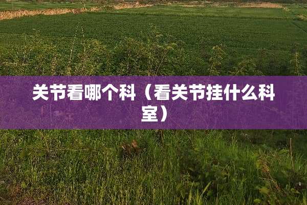 关节看哪个科（看关节挂什么科室）