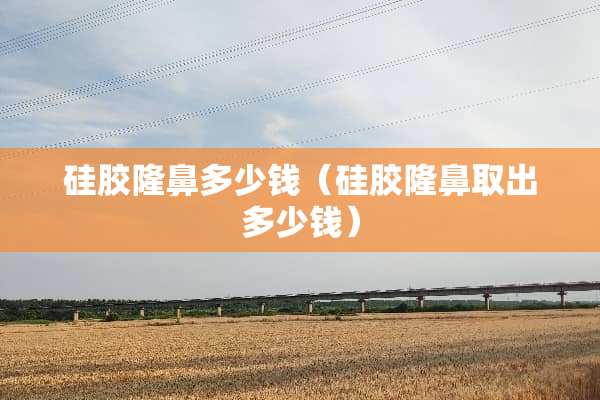 硅胶隆鼻多少钱（硅胶隆鼻取出多少钱）